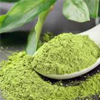 Matcha Green Tea Extract - Matcha Suri Composition